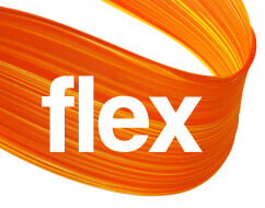 Logo Flex